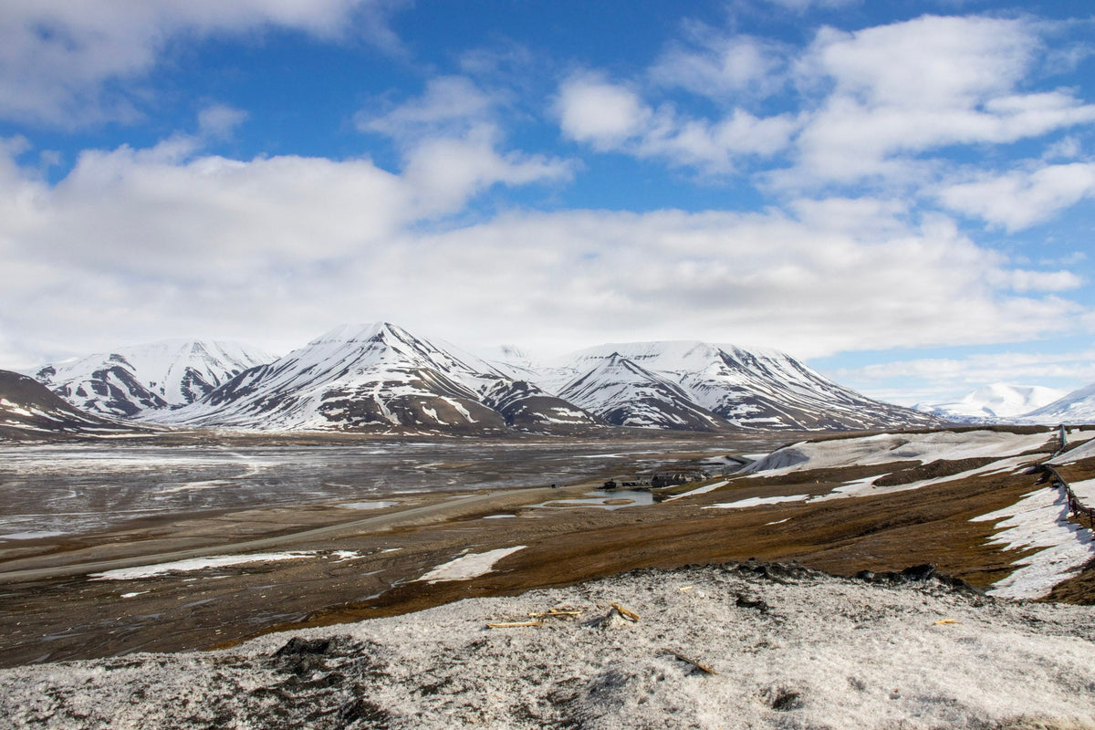 ARCTIC, Wild and Untouched