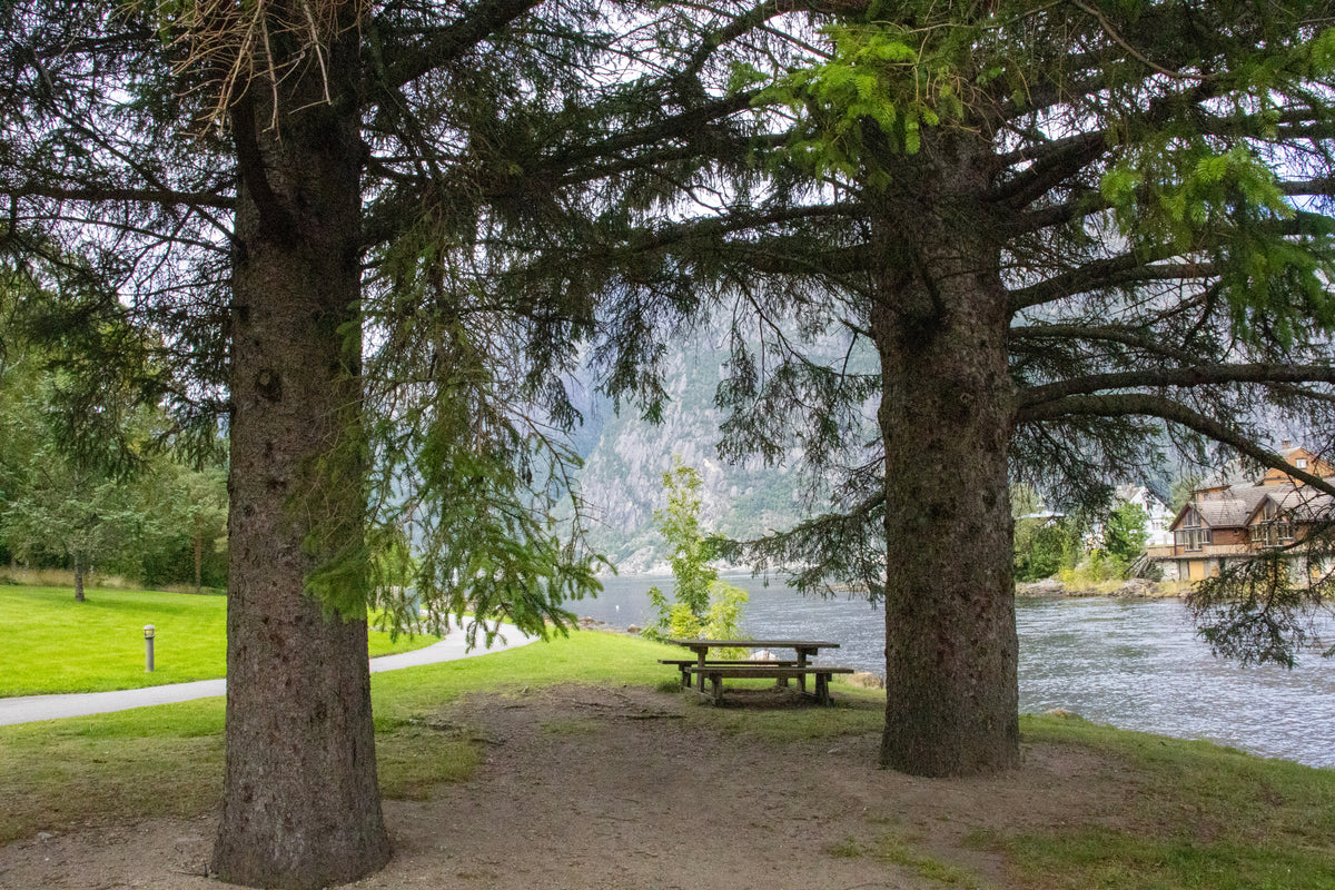 Peaceful Fjord Picnic Spot in Eidfjord, Norway – Fine Art Landscape Print