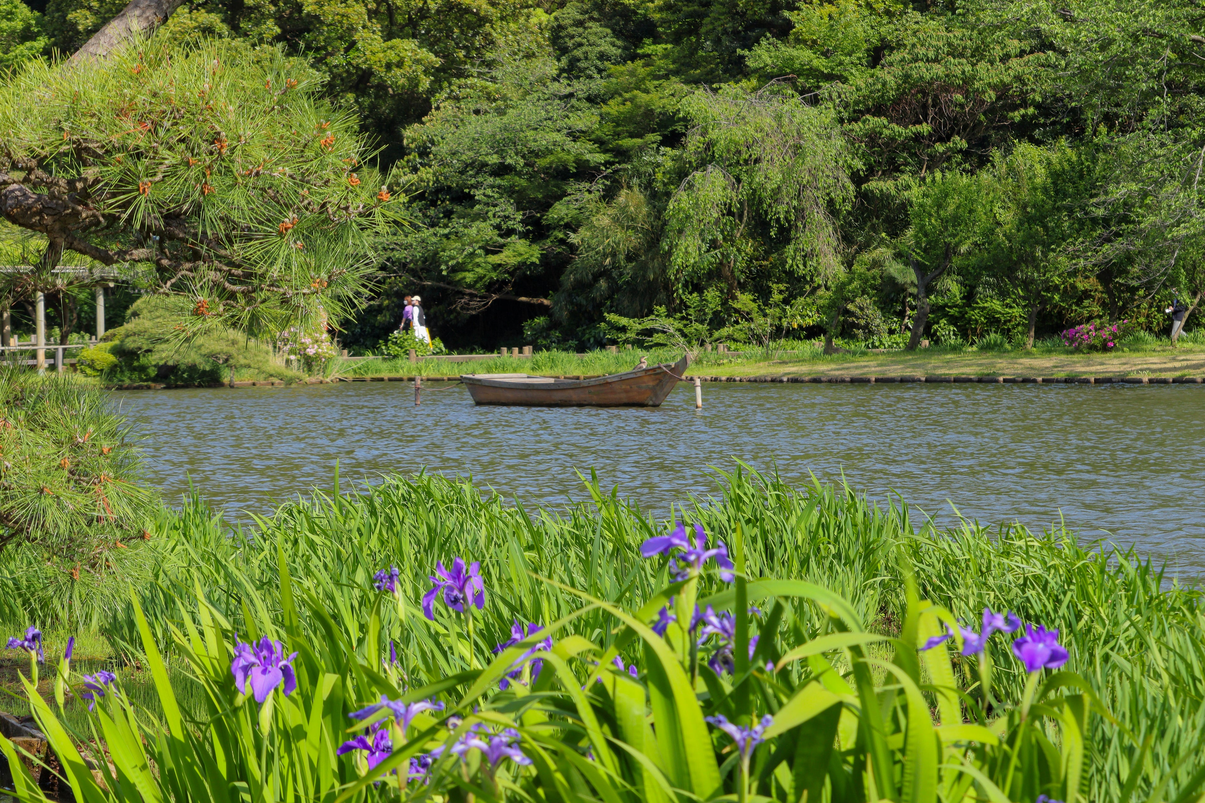 Peaceful Garden in Yokohama, Japan