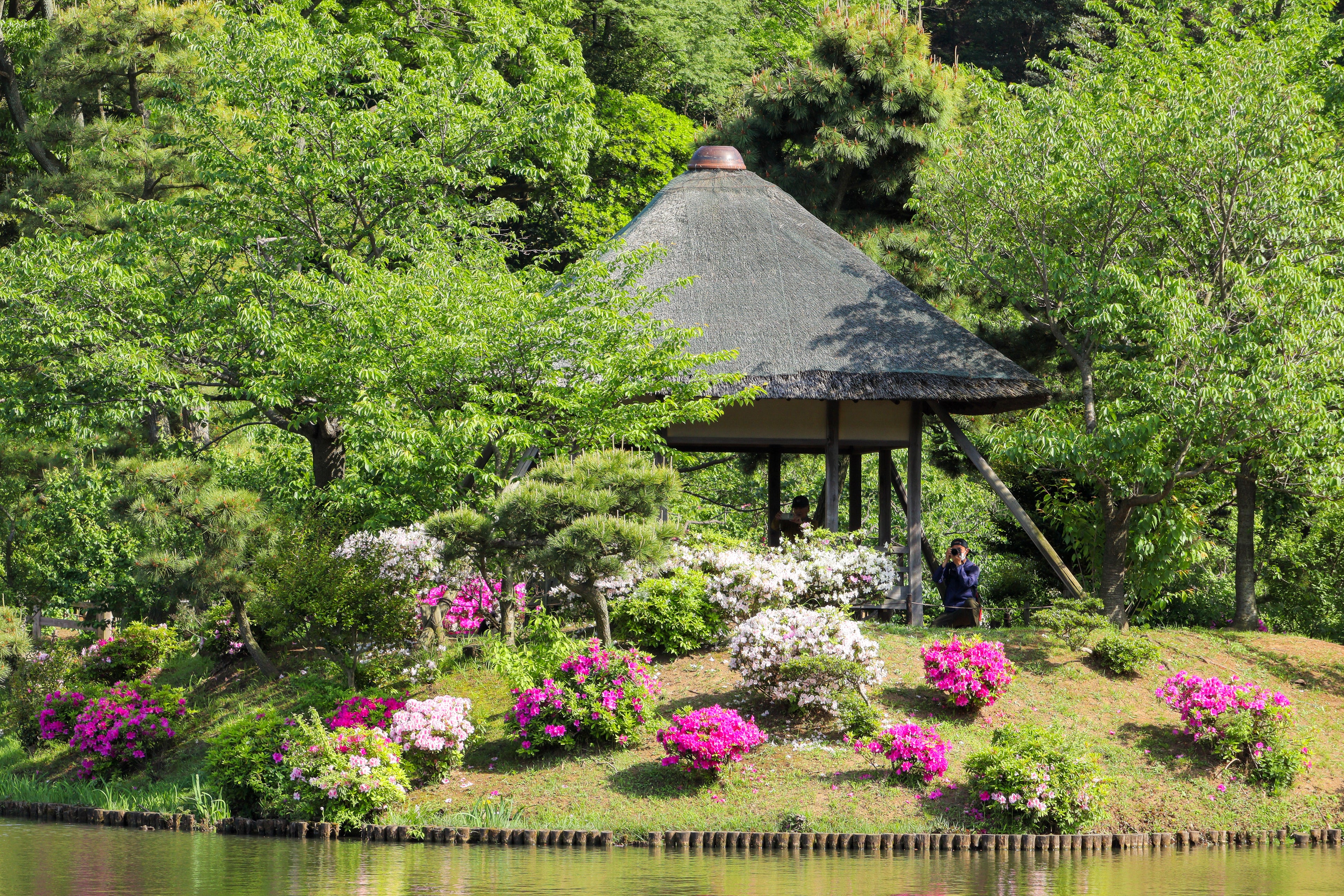 Traditional Pavilion at Sankeien Garden, Yokohama, Japan