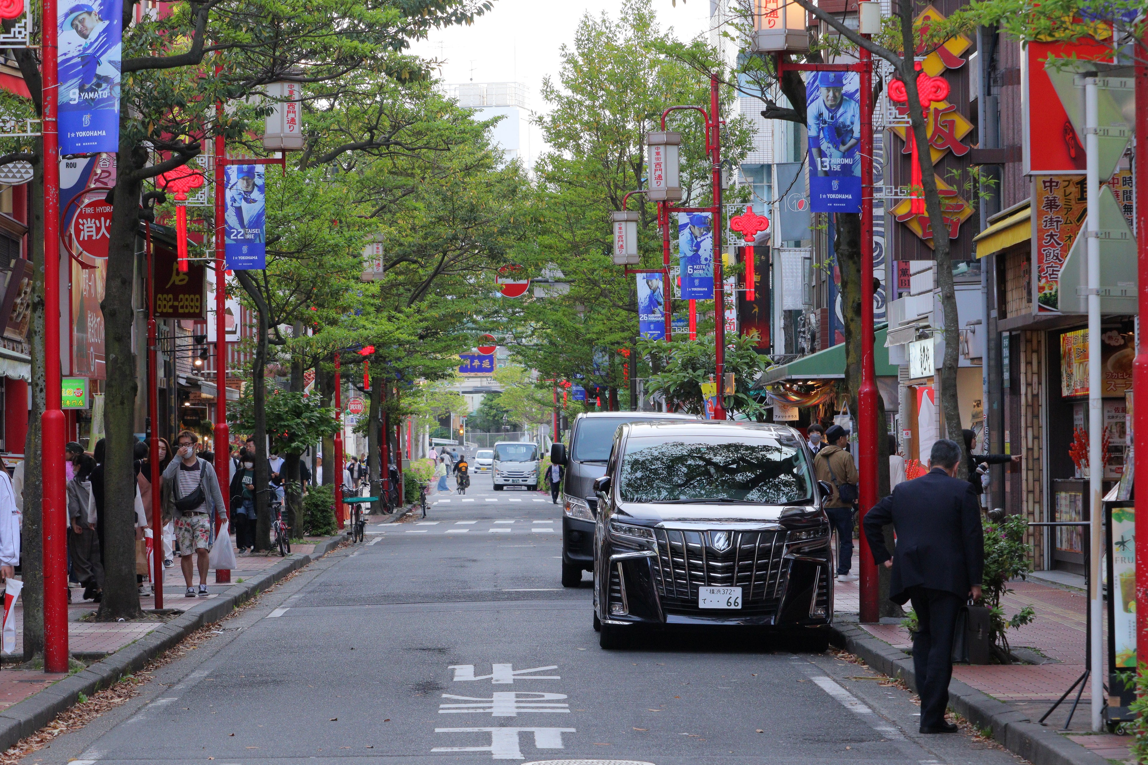 Tree-Lined Street in Yokohama Chinatown, Japan