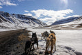 Sled Dogs in Longyearbyen, Svalbard – Fine Art Arctic Photography Print