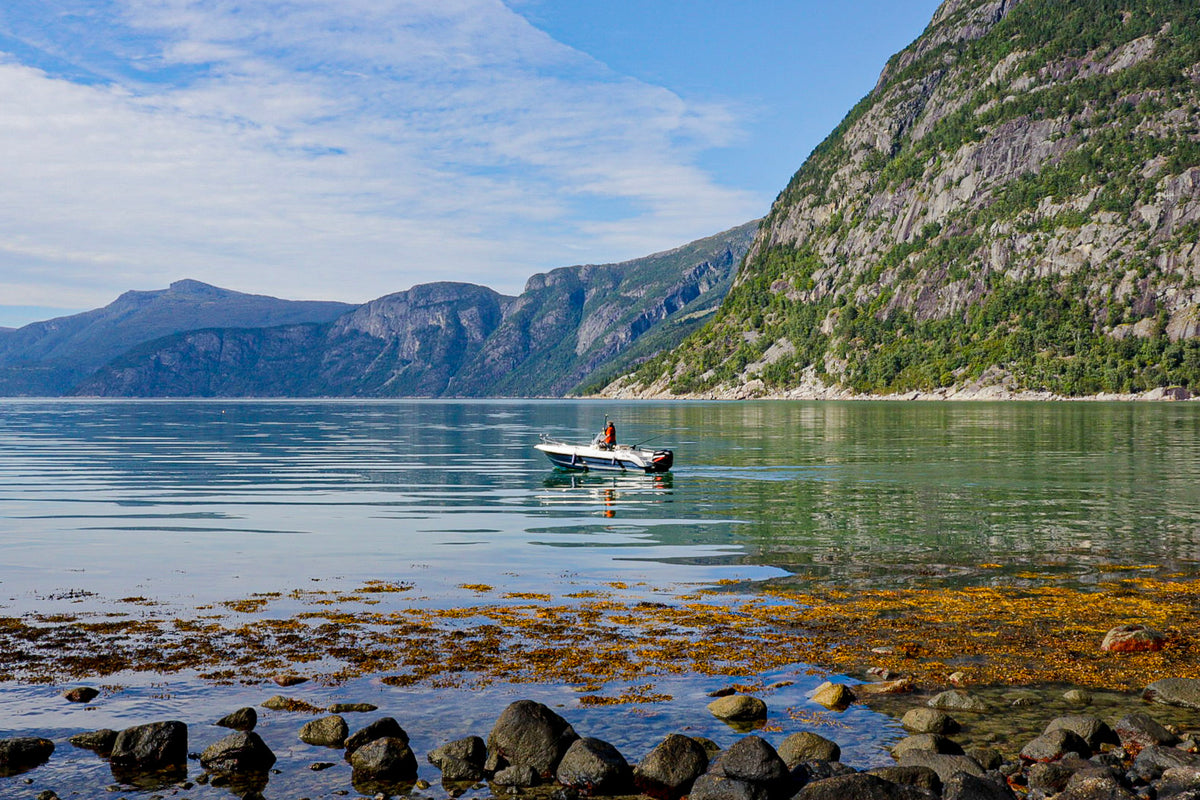 Peaceful Morning on Eidfjord – Norway's Majestic Fjord Landscape