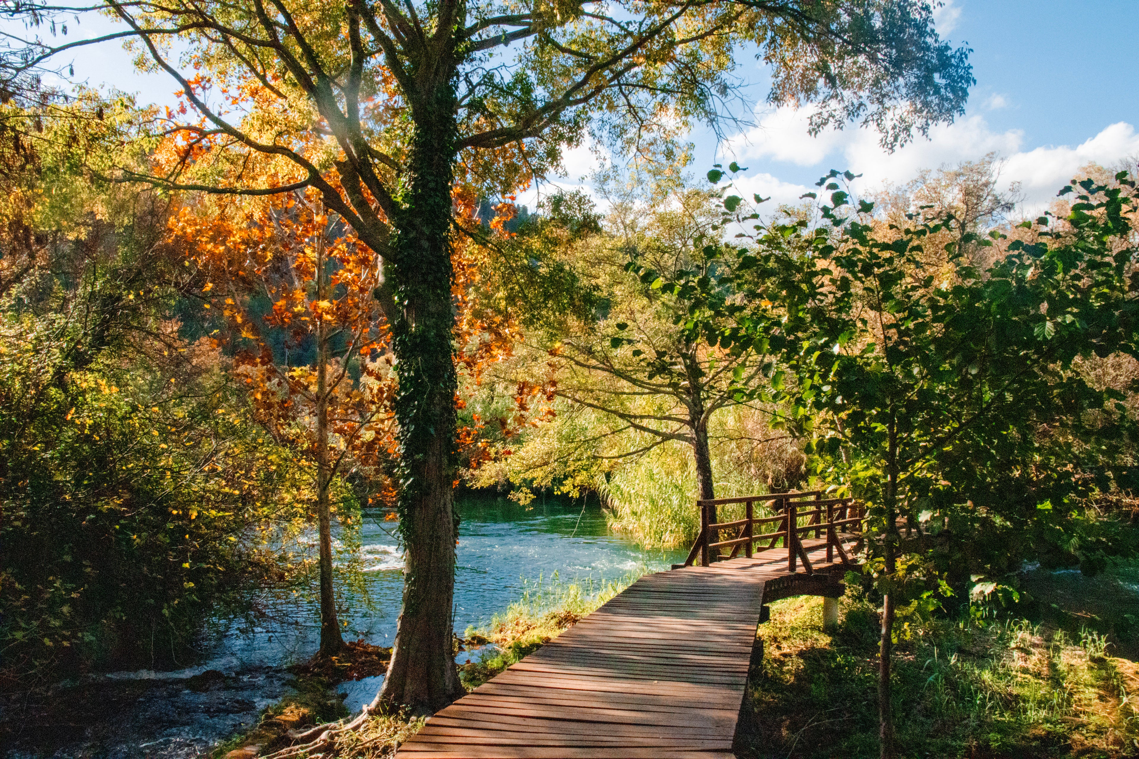 Krka National Park Collection