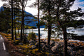 Forest Road Along the Eidfjord Fjord, Norway – Fine Art Landscape Photography Print