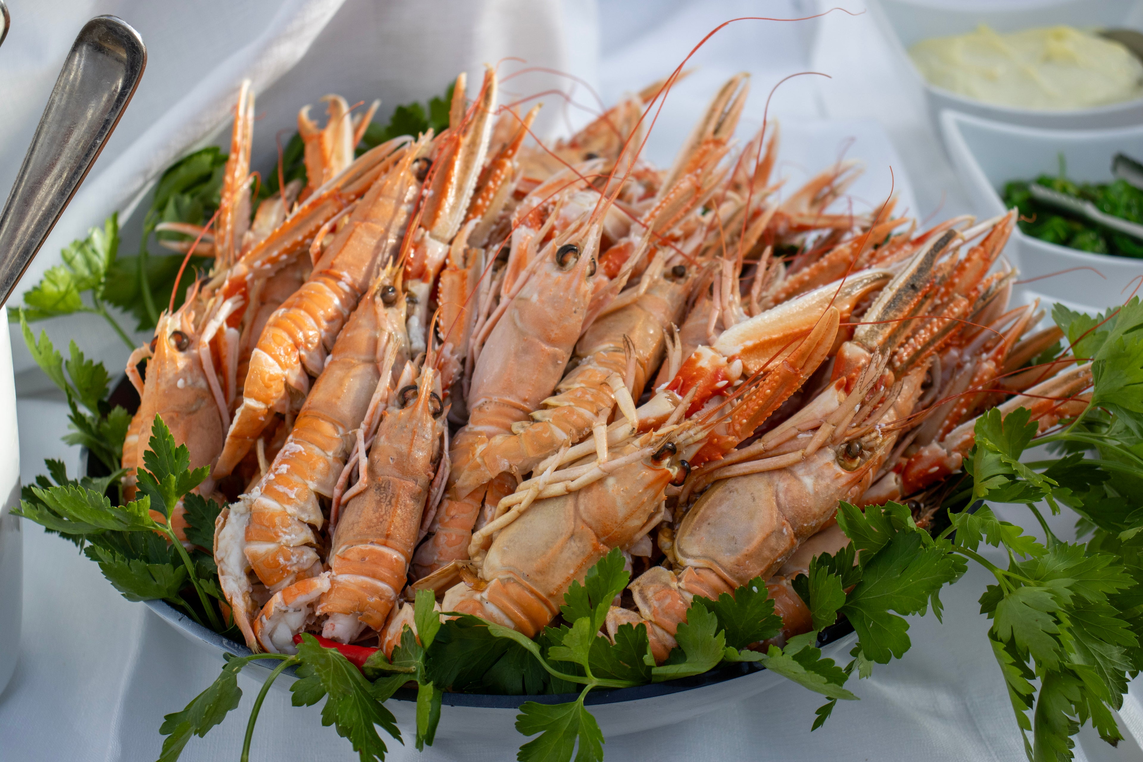 Langoustines &amp; Seafood Delicacy