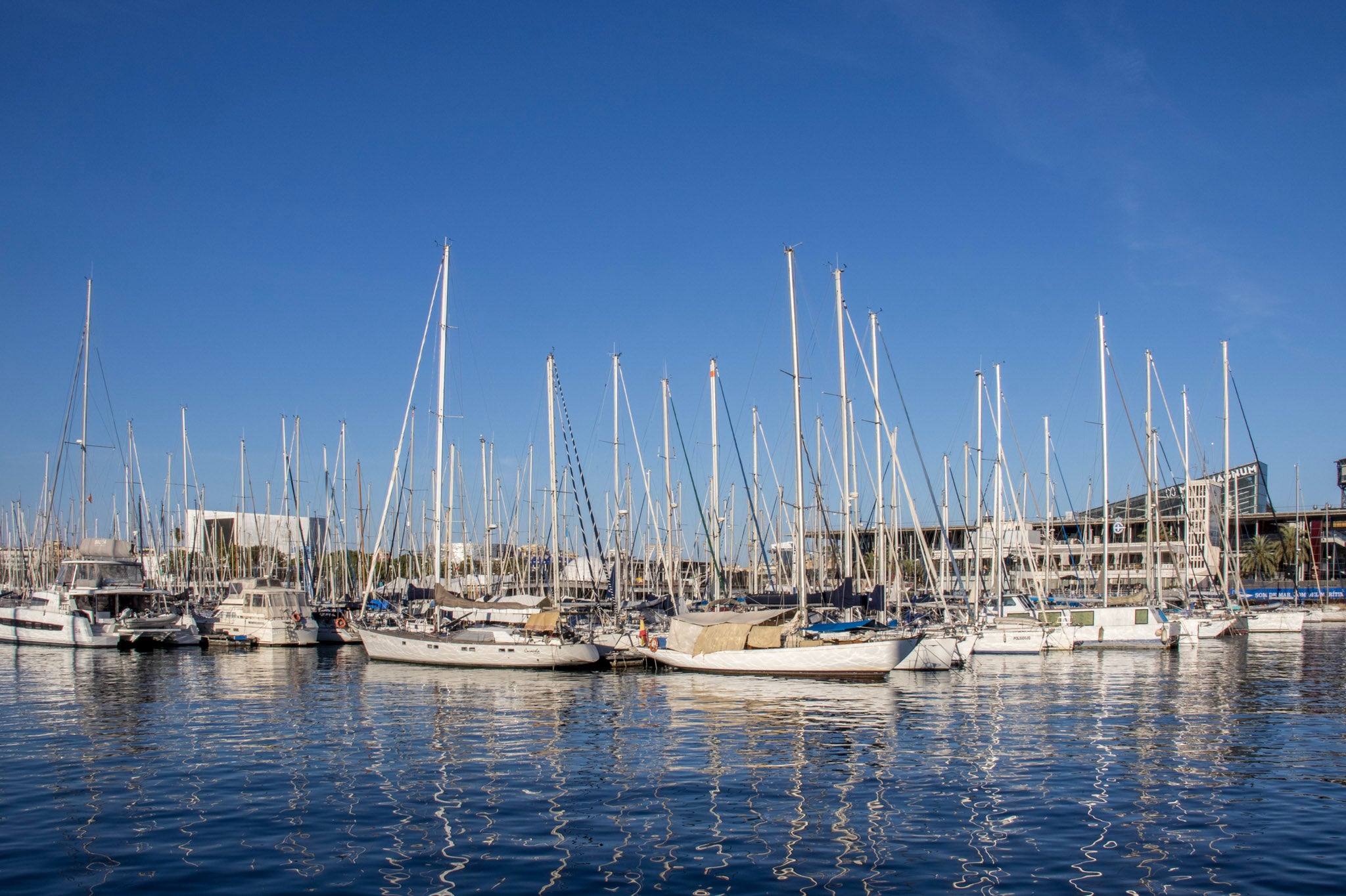 Barcelona Marina