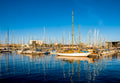 Barcelona Marina