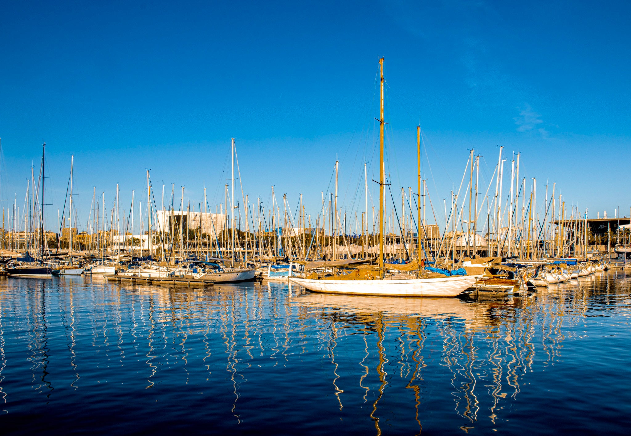 Barcelona Marina