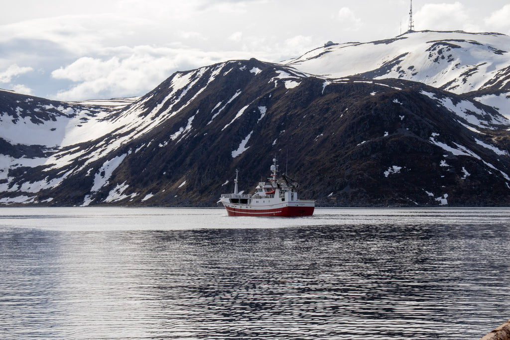 Arctic landscapes
