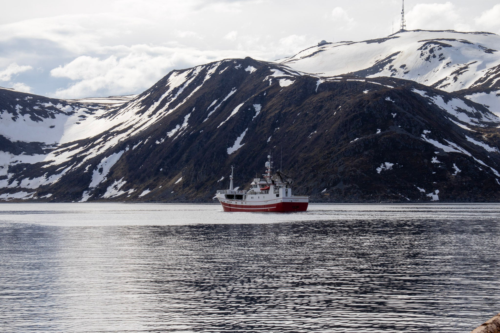 Arctic landscapes