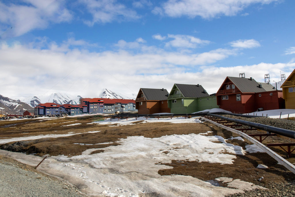 Arctic landscapes