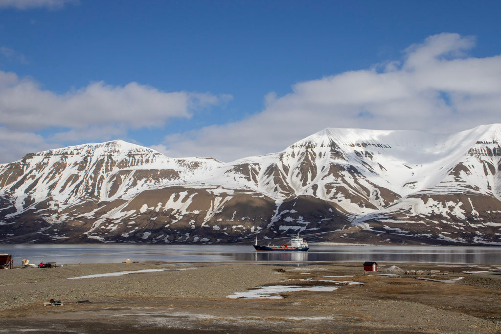 Arctic landscapes