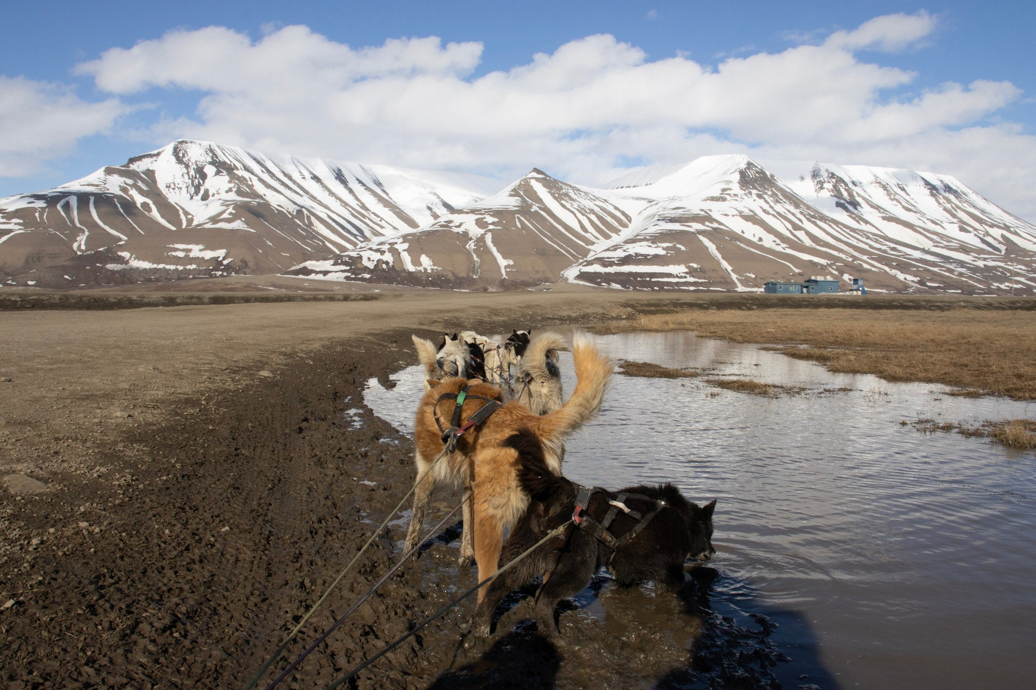 Arctic landscapes