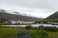 Seyðisfjörður, Iceland – Wildflowers, Fjord & Snow-Capped Mountains | Original Travel Photography Wall Art
